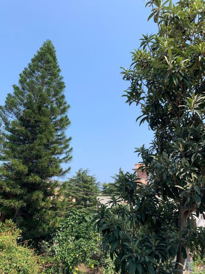 Casa Diana Arianna Apartment Lipari  Bagian luar foto